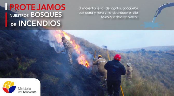 INCENDIOS3