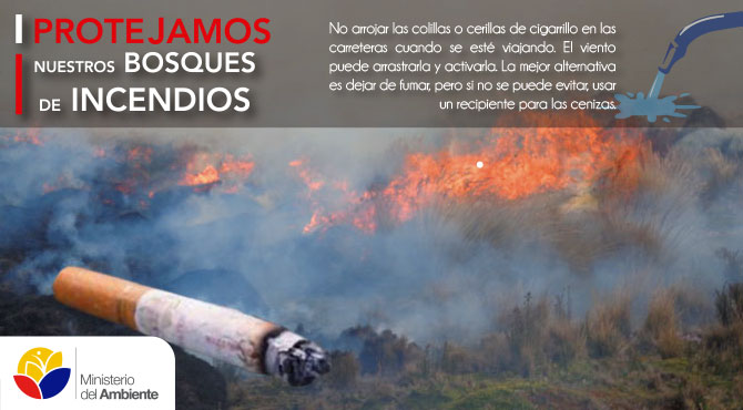incendios2