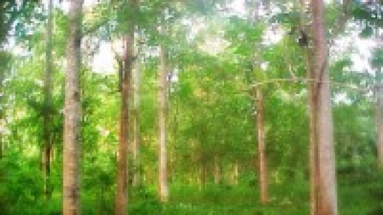 image_content_22193245_20170207213245